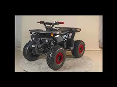 2025 Vitacci Phantom 