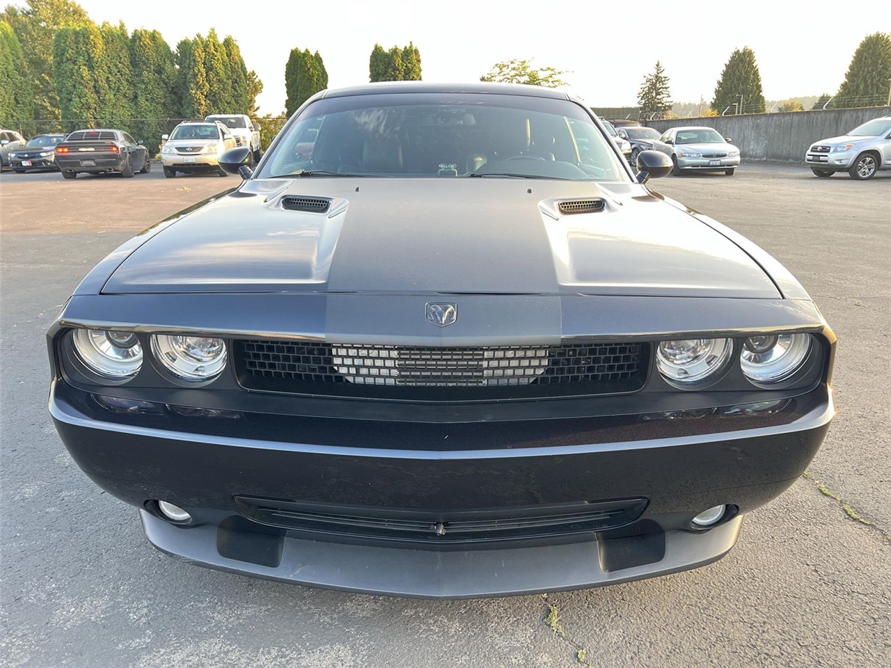 2010 Dodge Challenger SRT8 photo 3