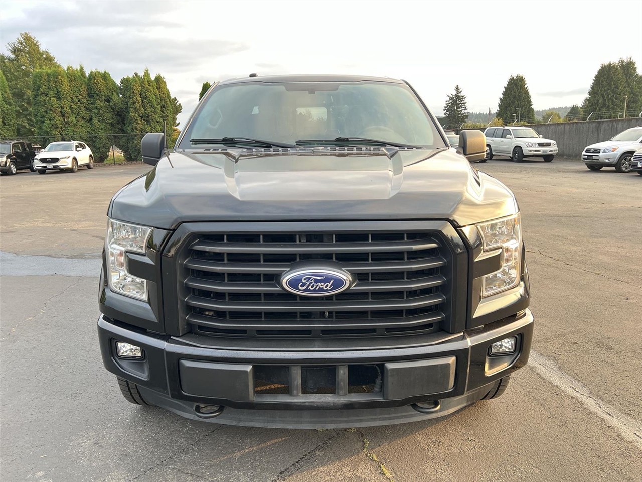 2016 Ford F-150 XLT photo 3