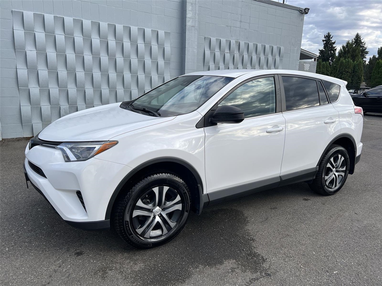 2018 Toyota RAV4 LE photo 2