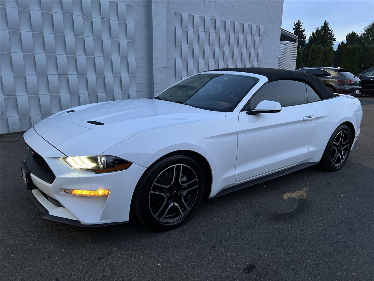 2019 Ford Mustang EcoBoost Premium