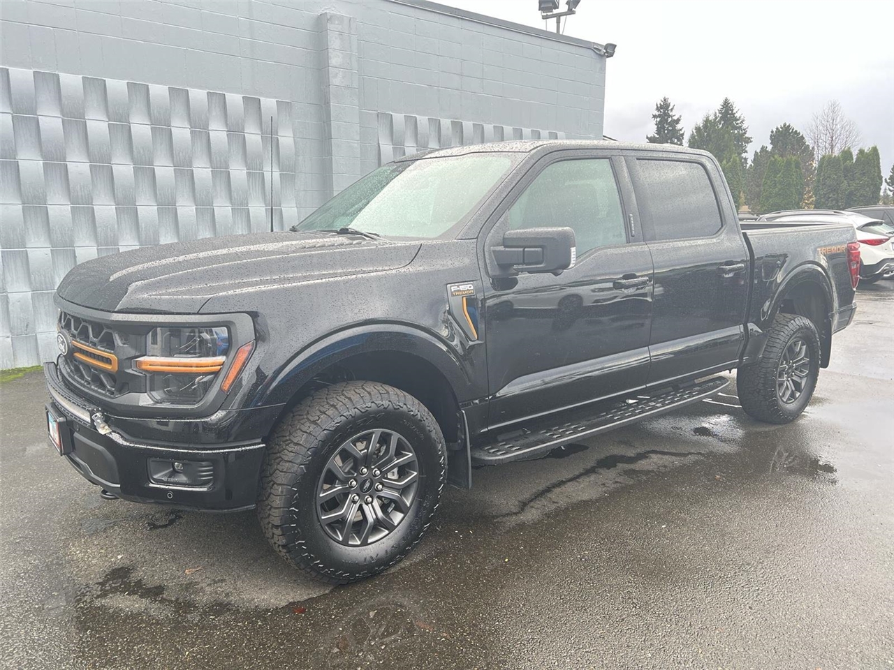 2024 Ford F-150 Tremor's photo