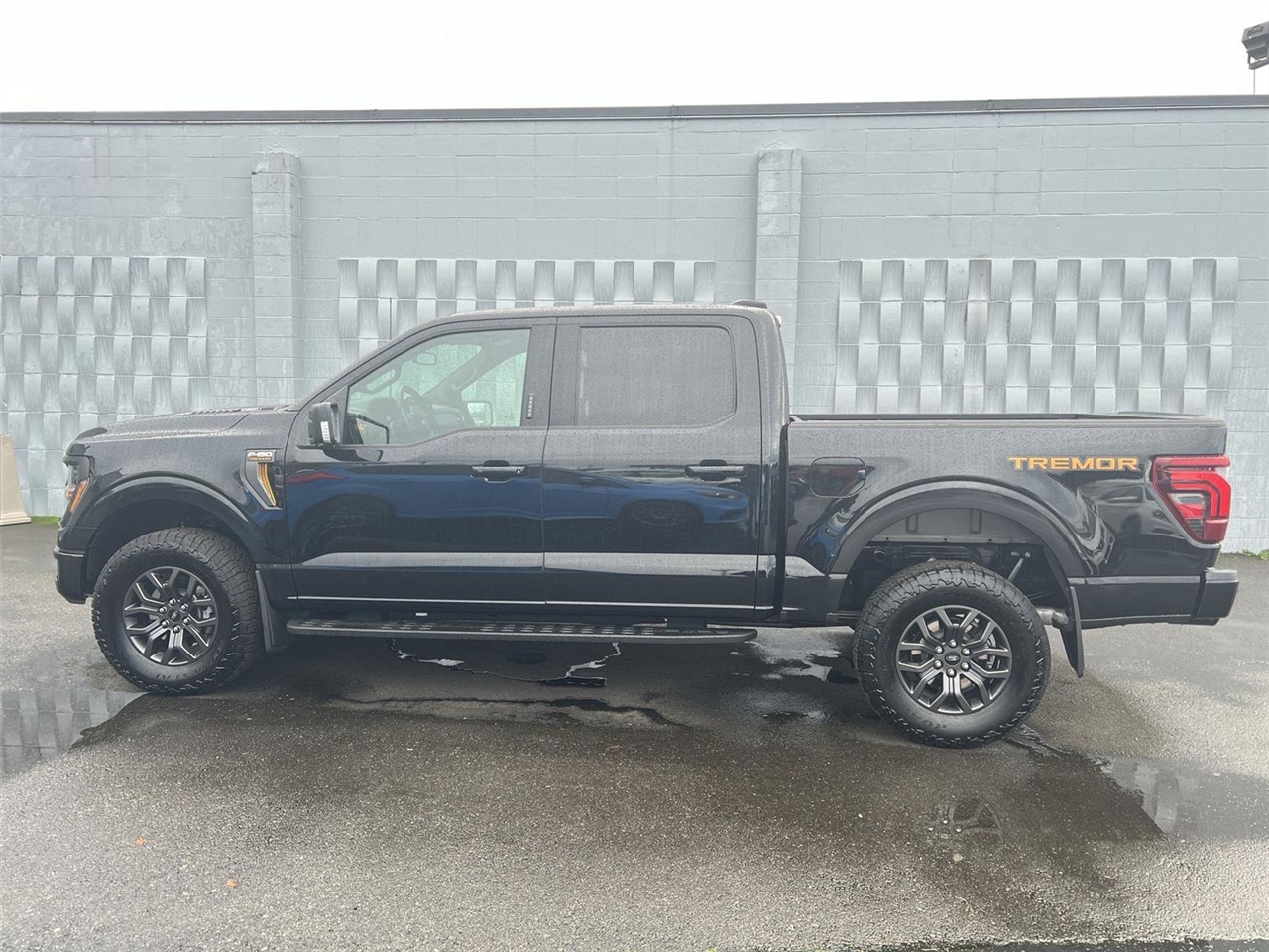 2024 Ford F-150 Tremor photo 3