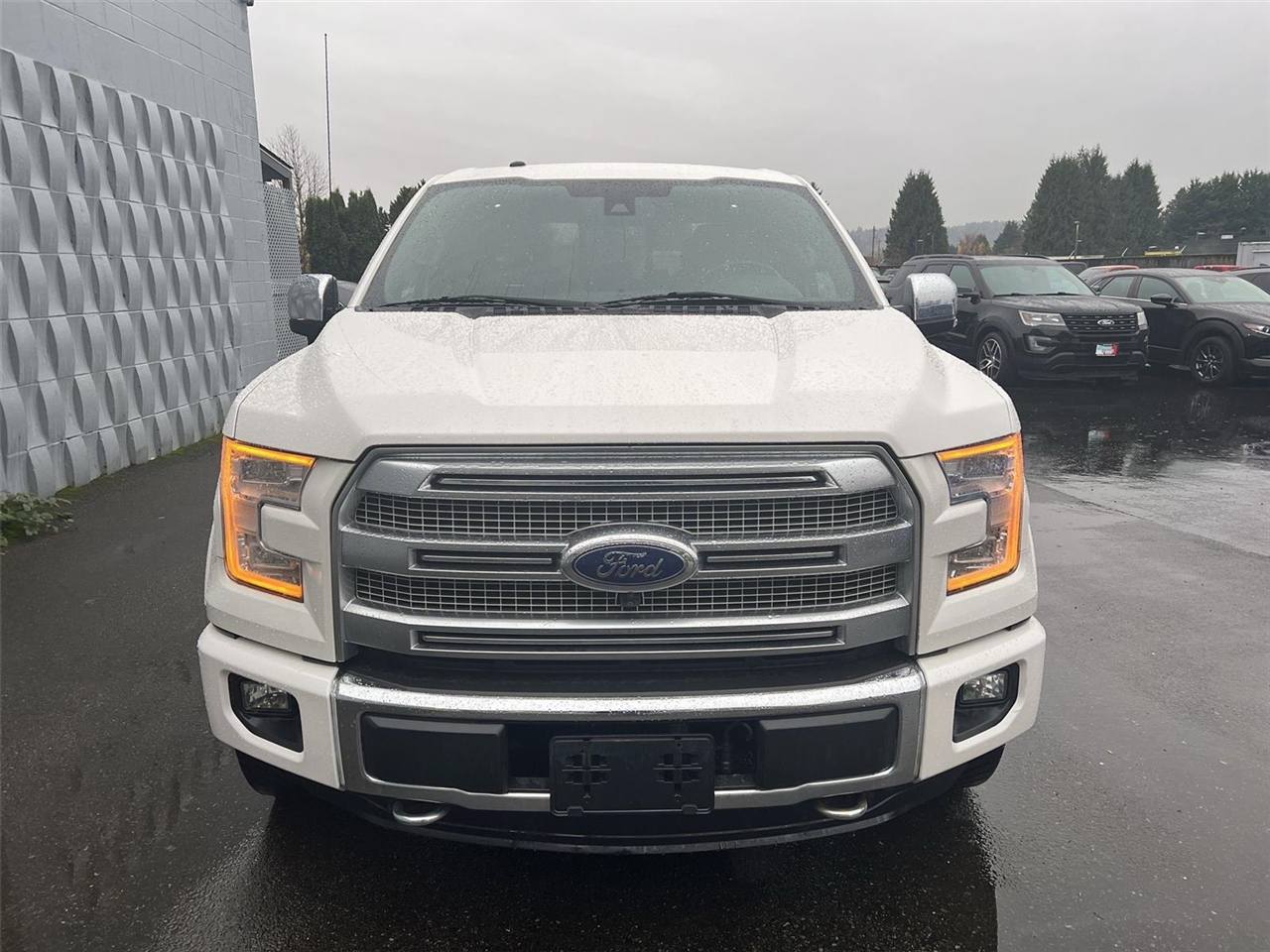 2015 Ford F-150 Platinum photo 2