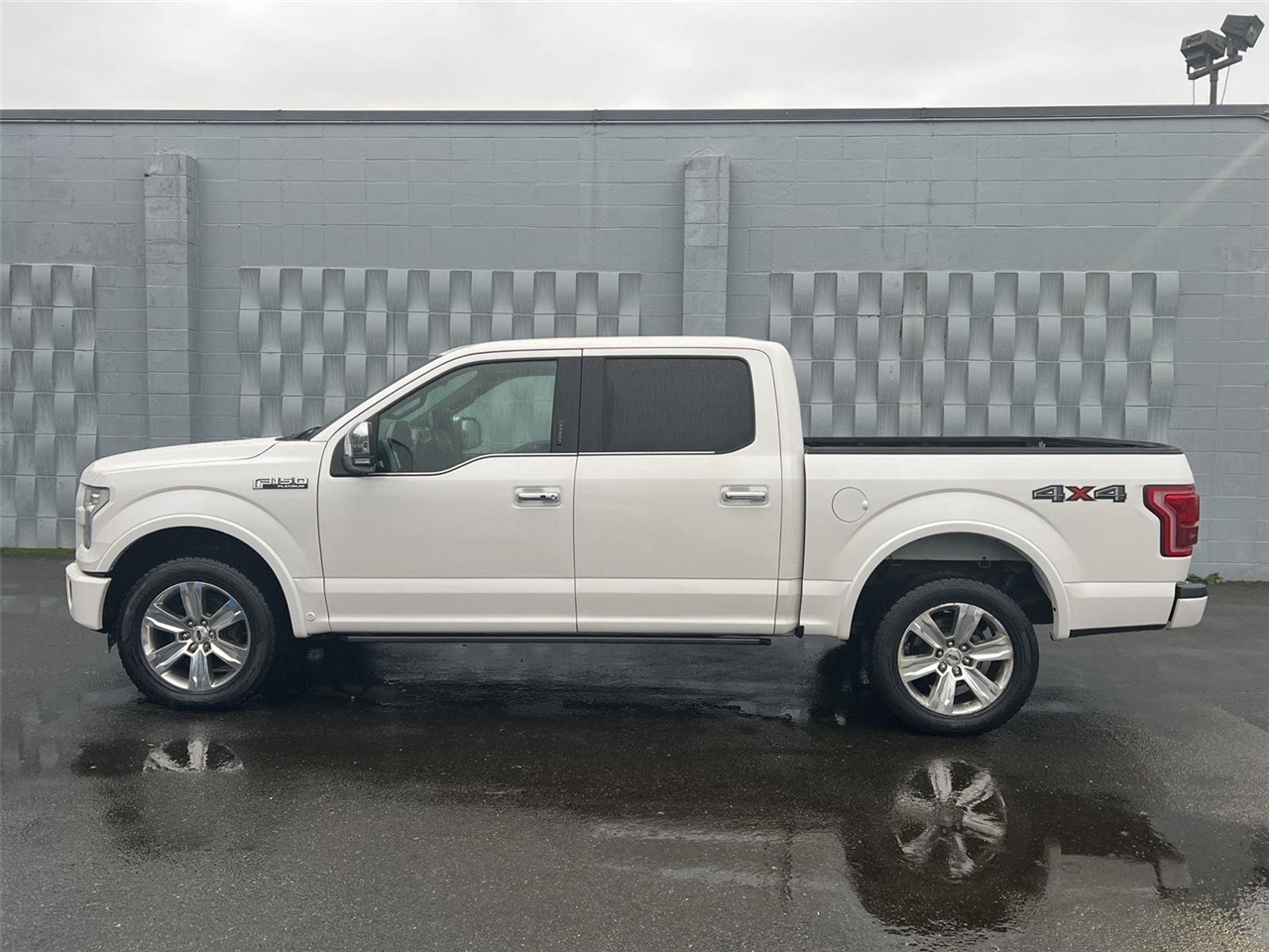 2015 Ford F-150 Platinum photo 3