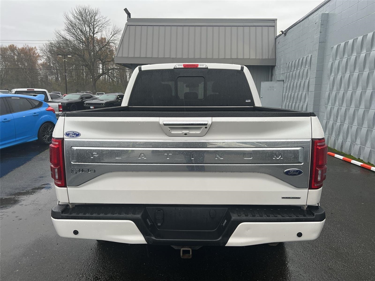 2015 Ford F-150 Platinum photo 4