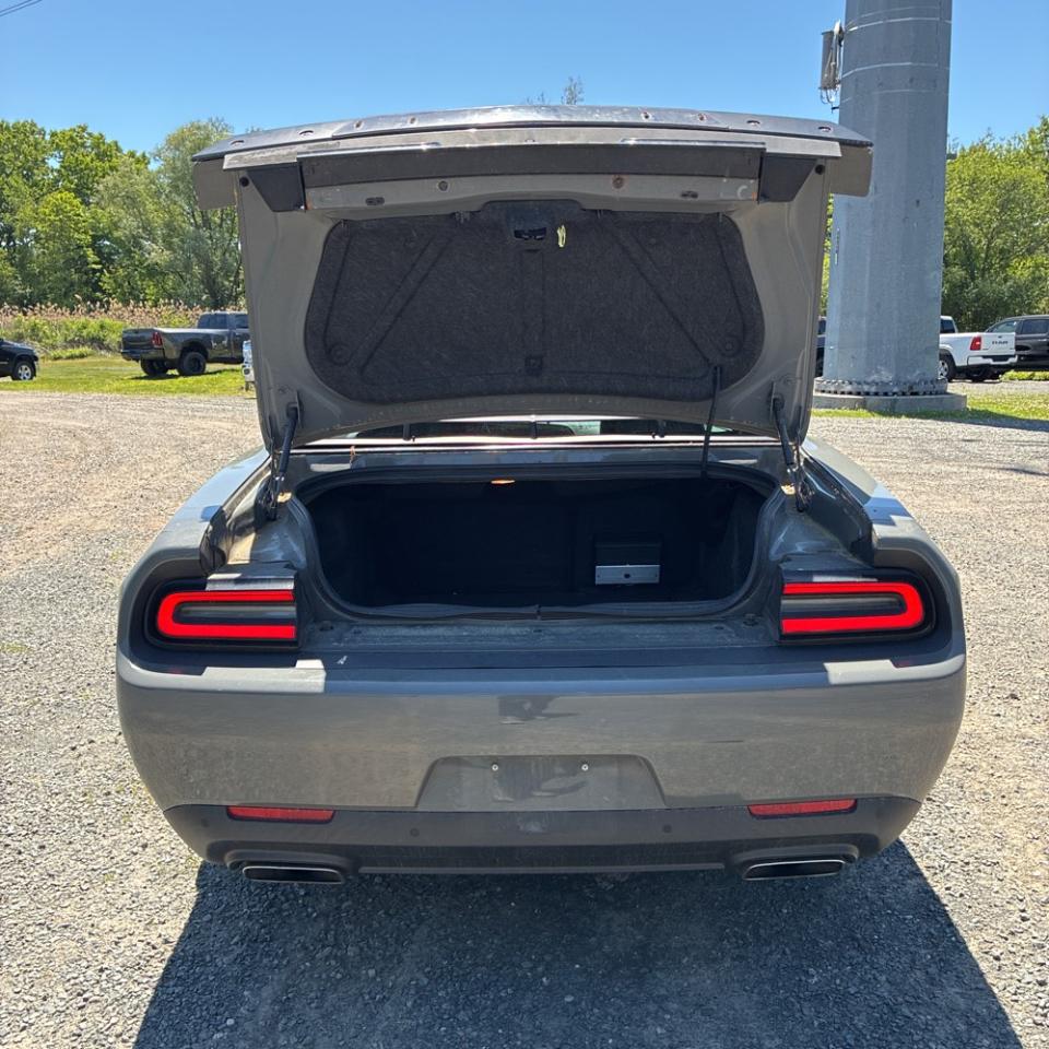 Dodge Challenger R/T Plus 2019