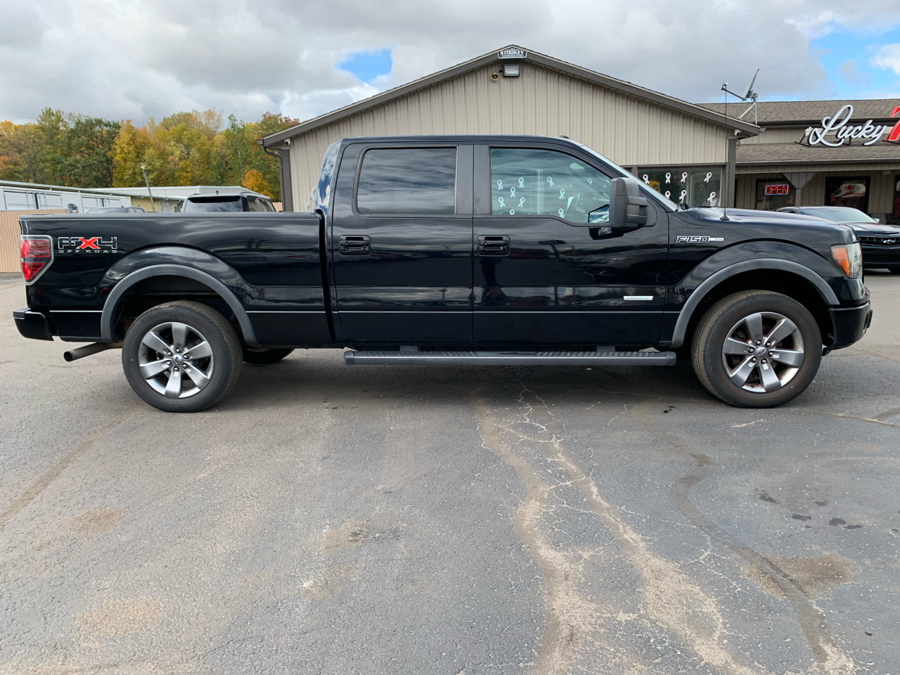 Ford F-150 XLT SuperCrew 6.5-ft. Bed 4WD 2011