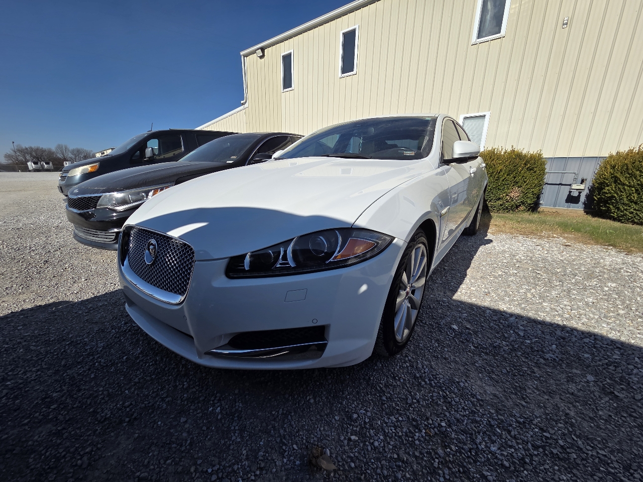 2014 Jaguar XF Base's photo