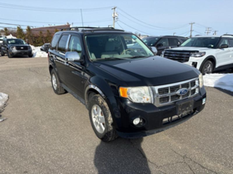 Ford Escape XLT 4WD 2011