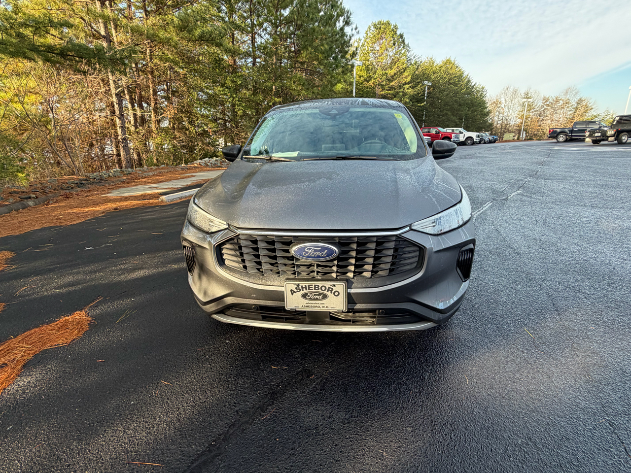 Ford Escape Active 2024