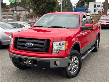 2010 Ford F-150 