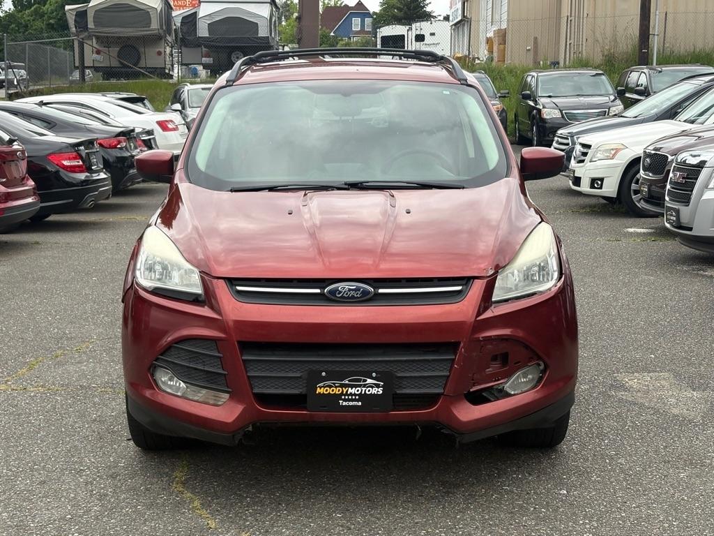 2014 Ford Escape SE's photo