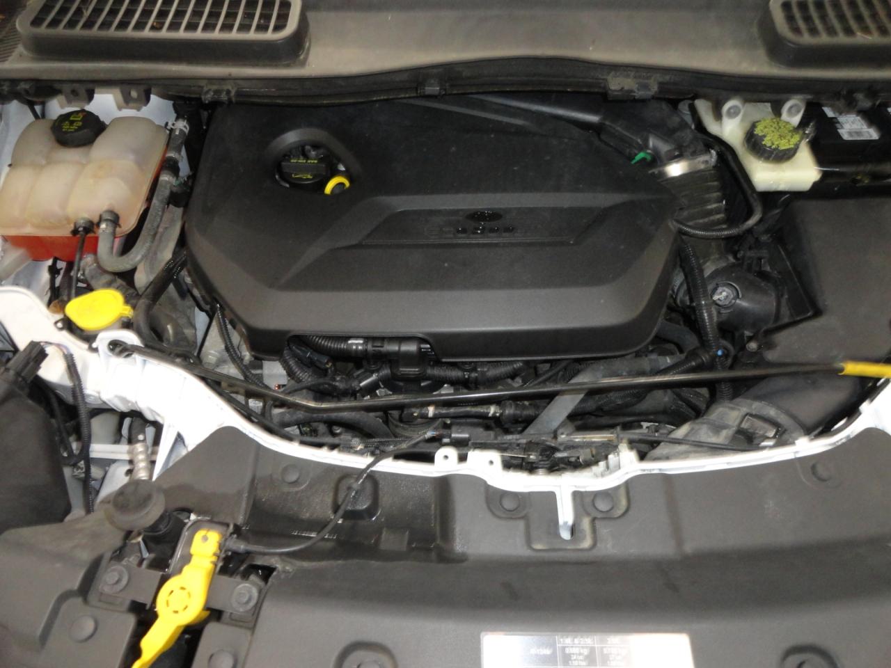 Ford Escape FWD 4dr SE 2014