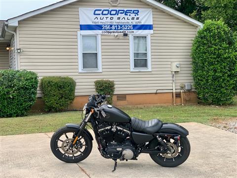 2020 Harley-Davidson XL883N Sportster