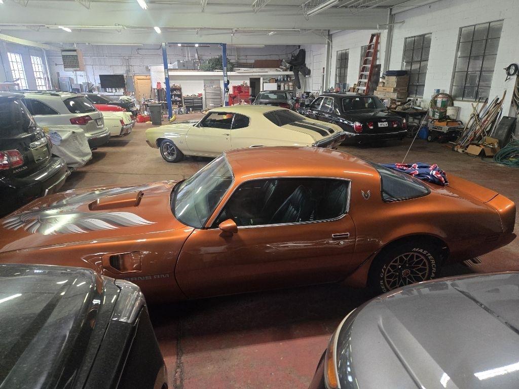 Pontiac Firebird  1979