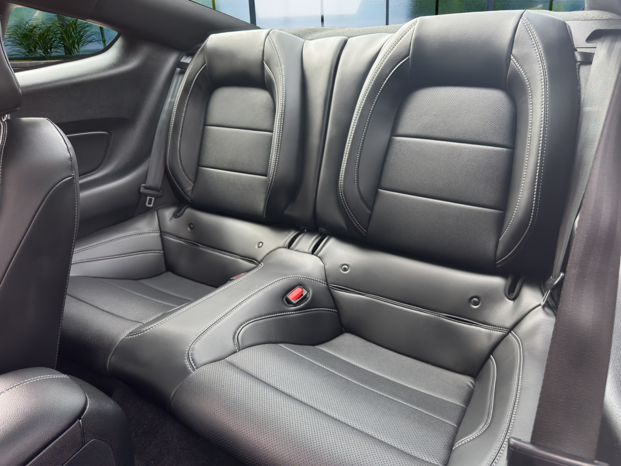 2021 Ford Mustang Mach 1 photo 13
