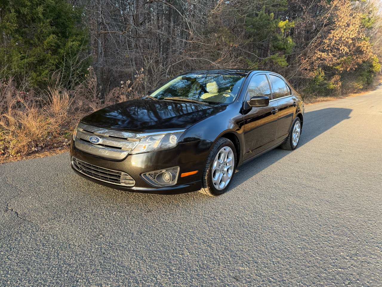 Ford Fusion SE 2010