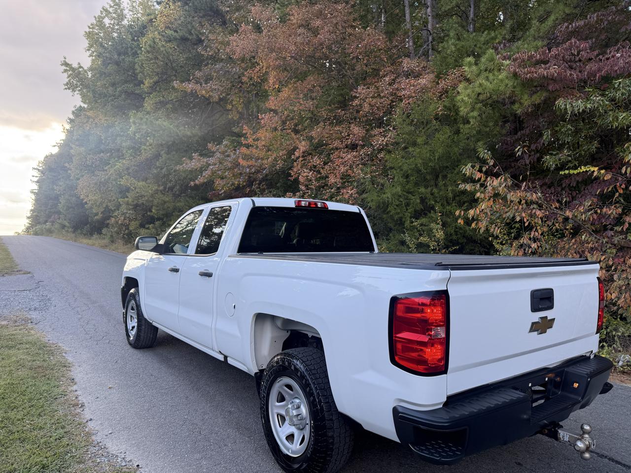 Chevrolet Silverado 1500 Work Truck Double Cab 2WD 2019