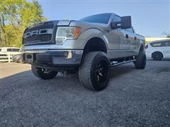 2010 Ford F-150 