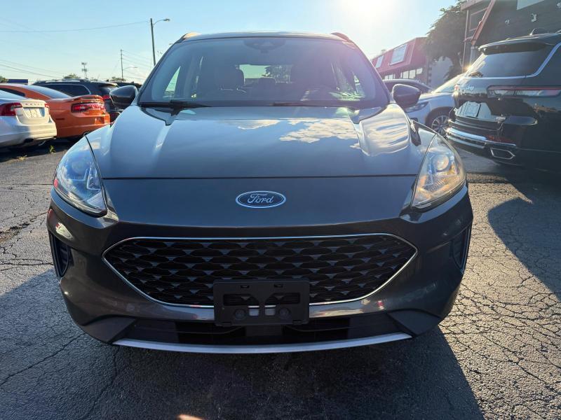Ford Escape SE AWD 2020