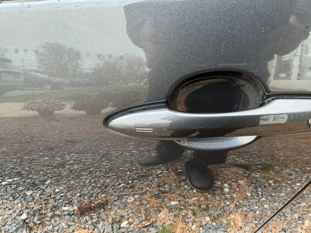 Toyota Prius XLE 2022