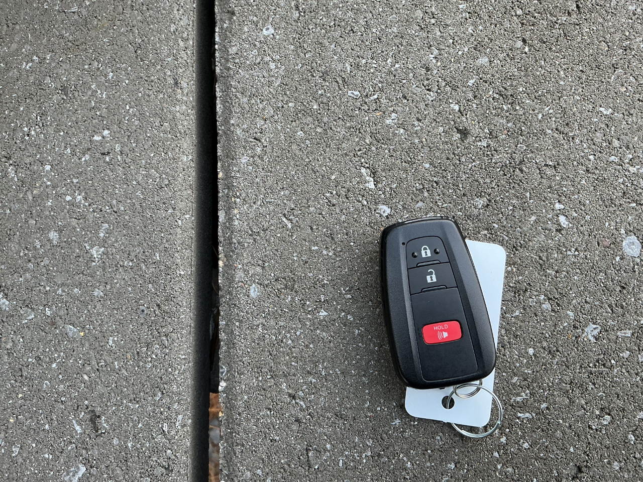 Toyota Prius XLE 2022