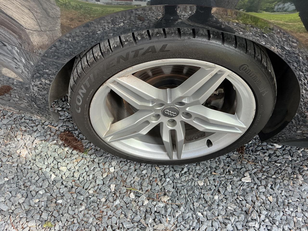 Audi A5 Sportback Premium Plus 45 TFSI quattro 2019