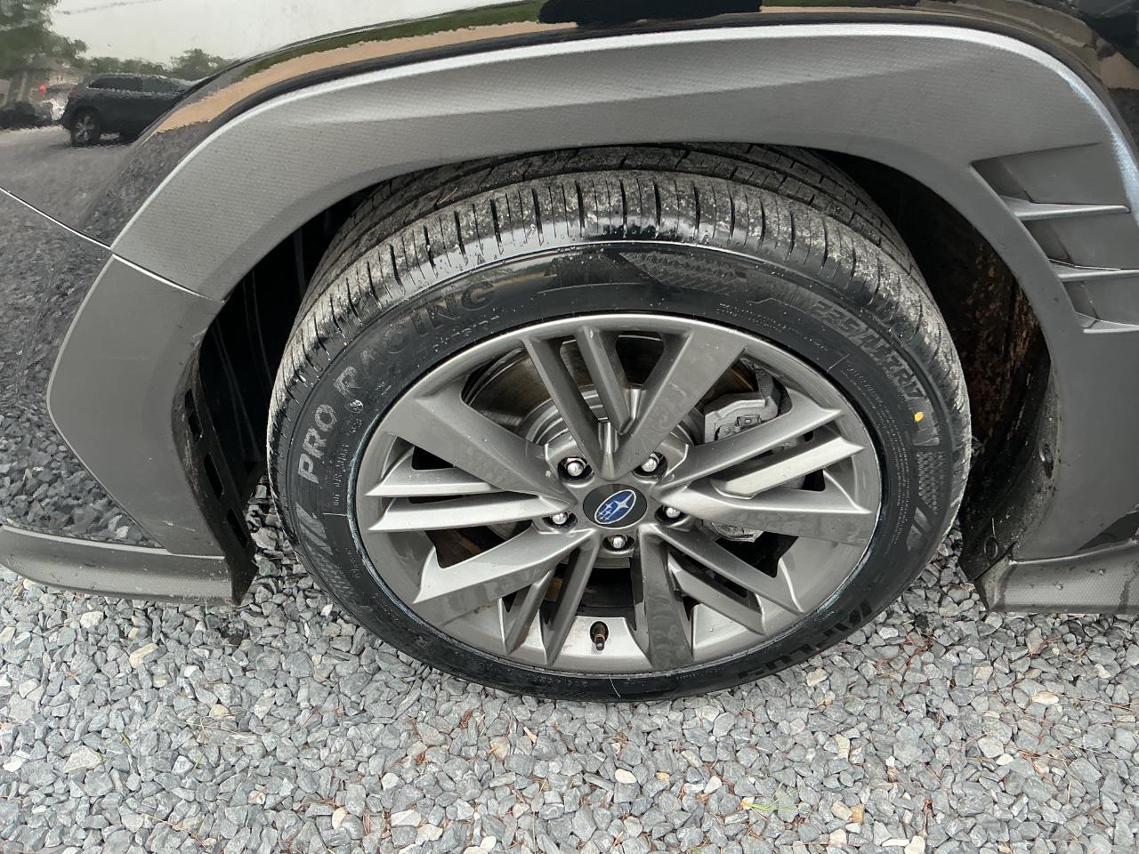 Subaru WRX Manual 2022