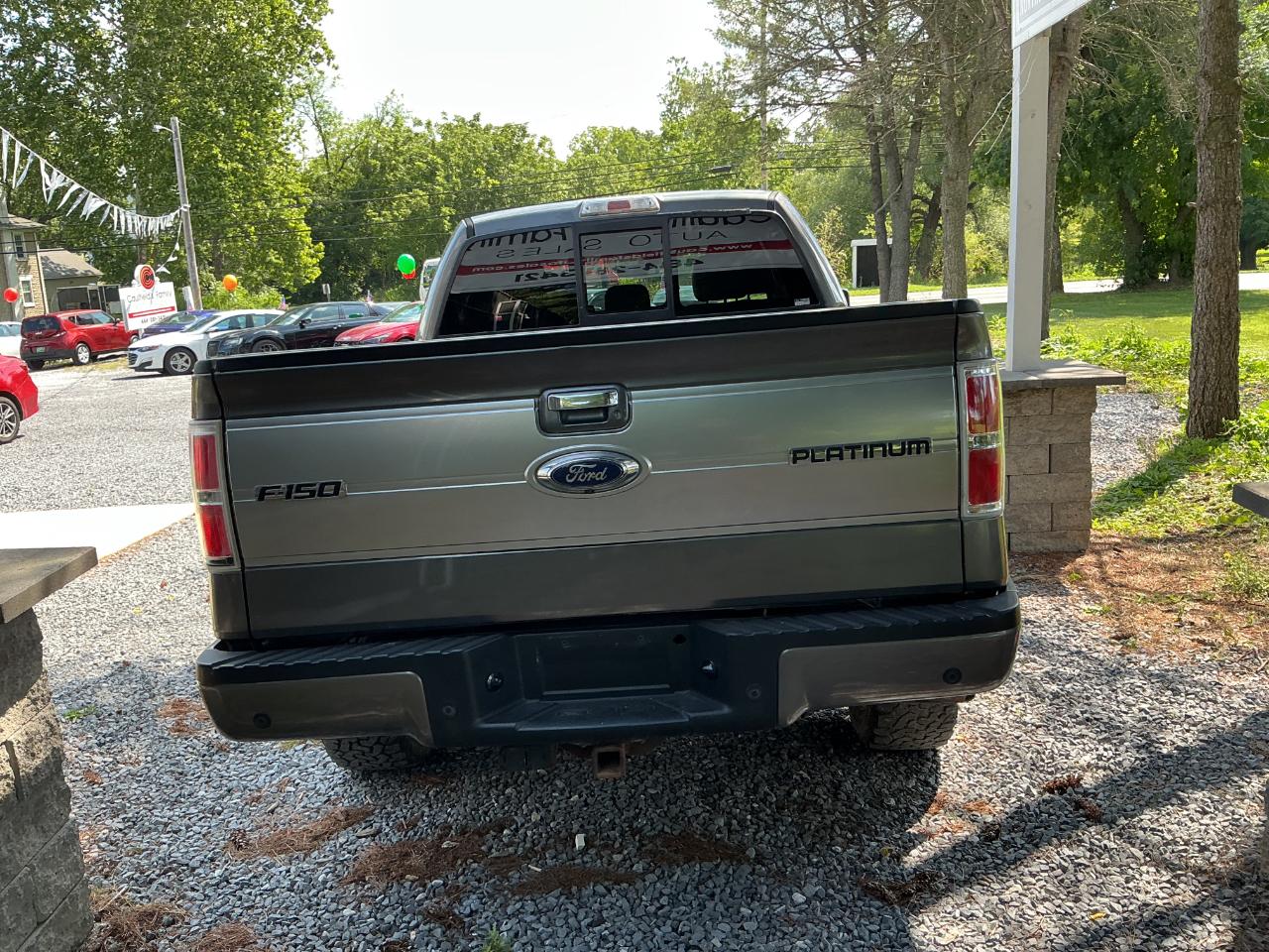 Ford F-150 4WD SuperCrew 145" Platinum 2014