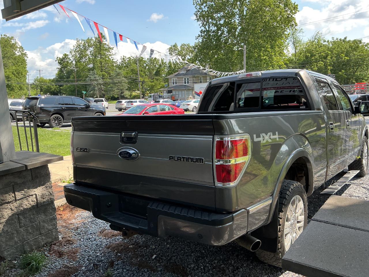 Ford F-150 4WD SuperCrew 145" Platinum 2014