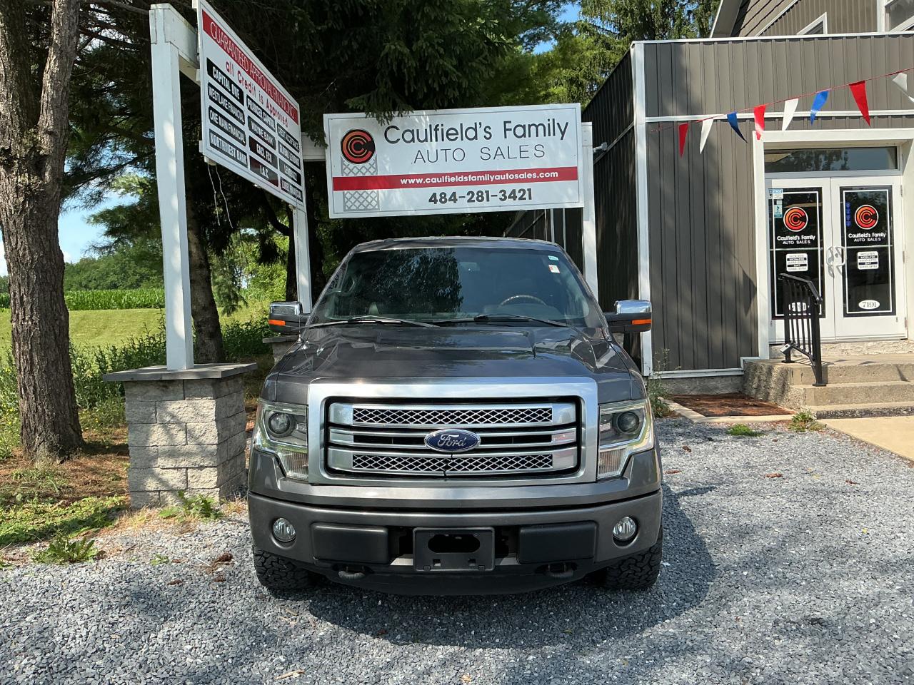 Ford F-150 4WD SuperCrew 145" Platinum 2014