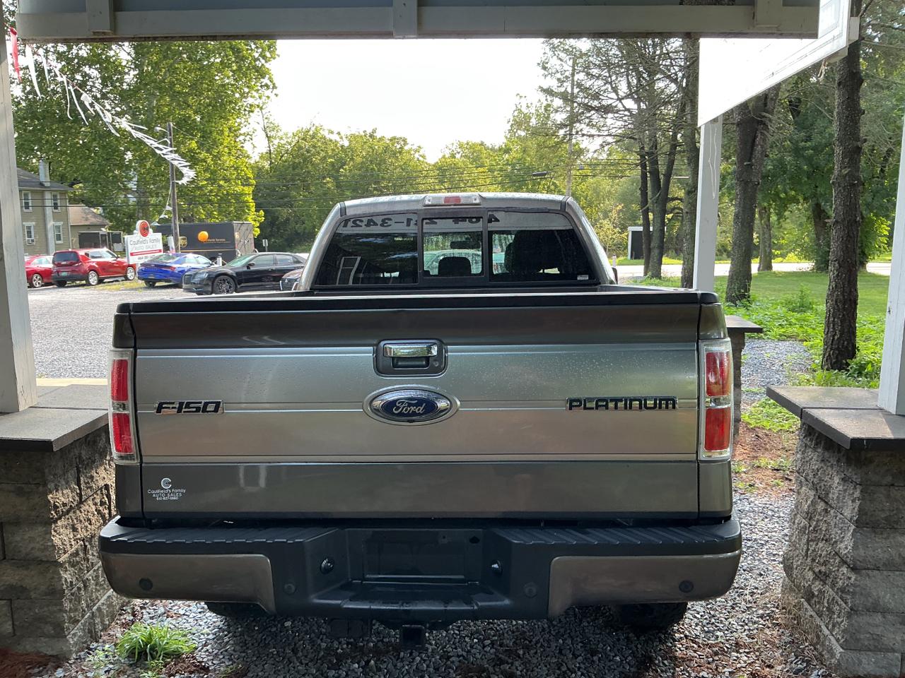 Ford F-150 4WD SuperCrew 145" Platinum 2014