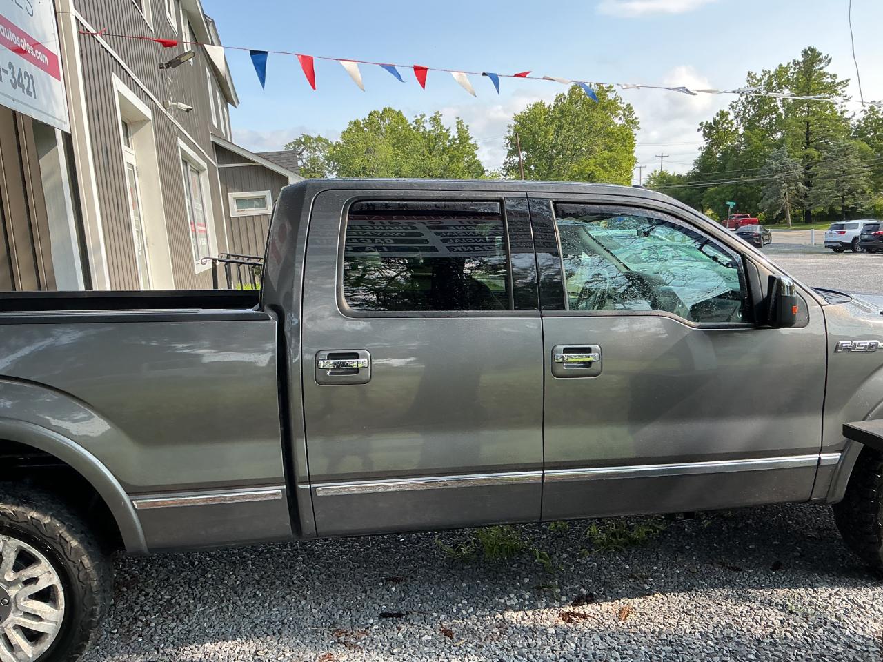 Ford F-150 4WD SuperCrew 145" Platinum 2014