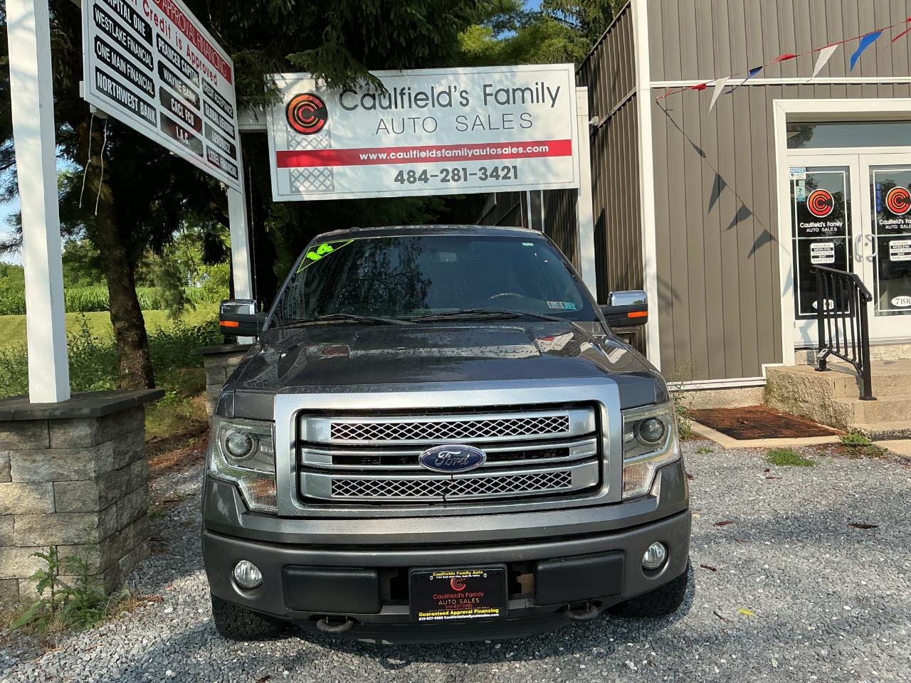 Ford F-150 4WD SuperCrew 145" Platinum 2014