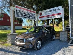 2019 Infiniti QX50 