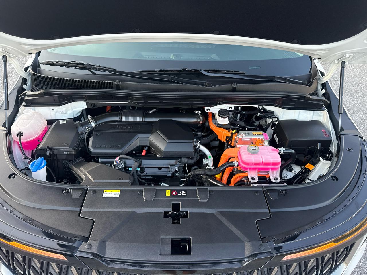 Kia Carnival Hybrid LXS 2026