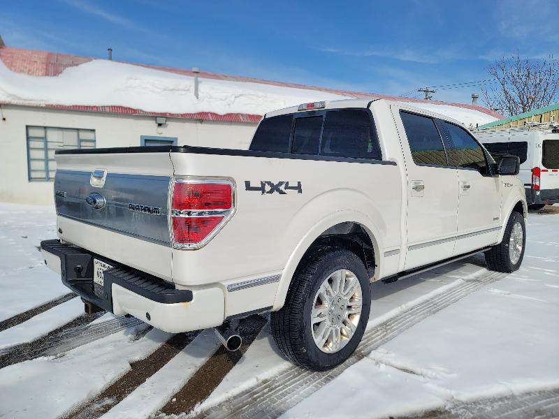 Ford F-150 Platinum SuperCrew 5.5-ft. Bed 4WD 2013