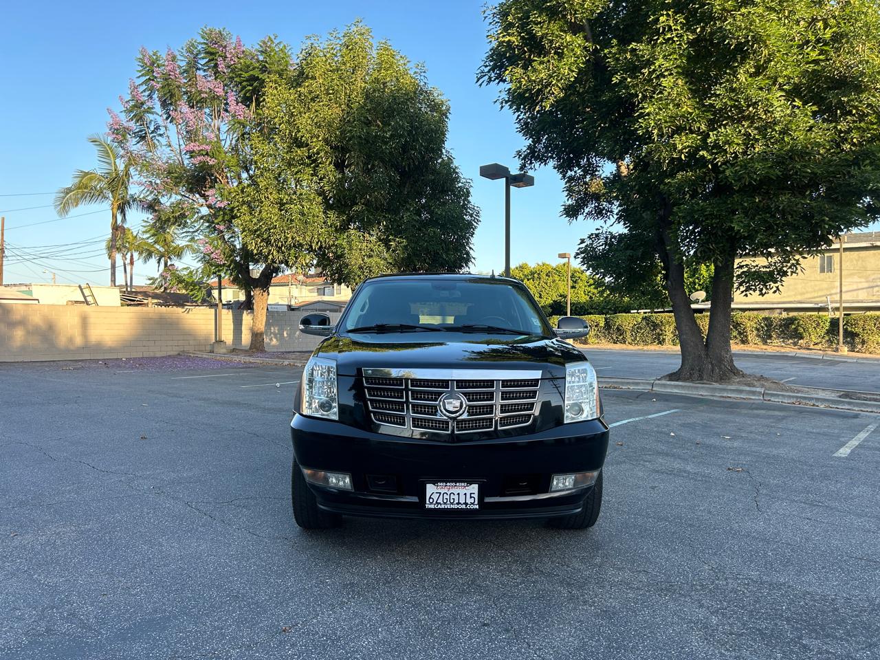 Cadillac Escalade 2WD 2008