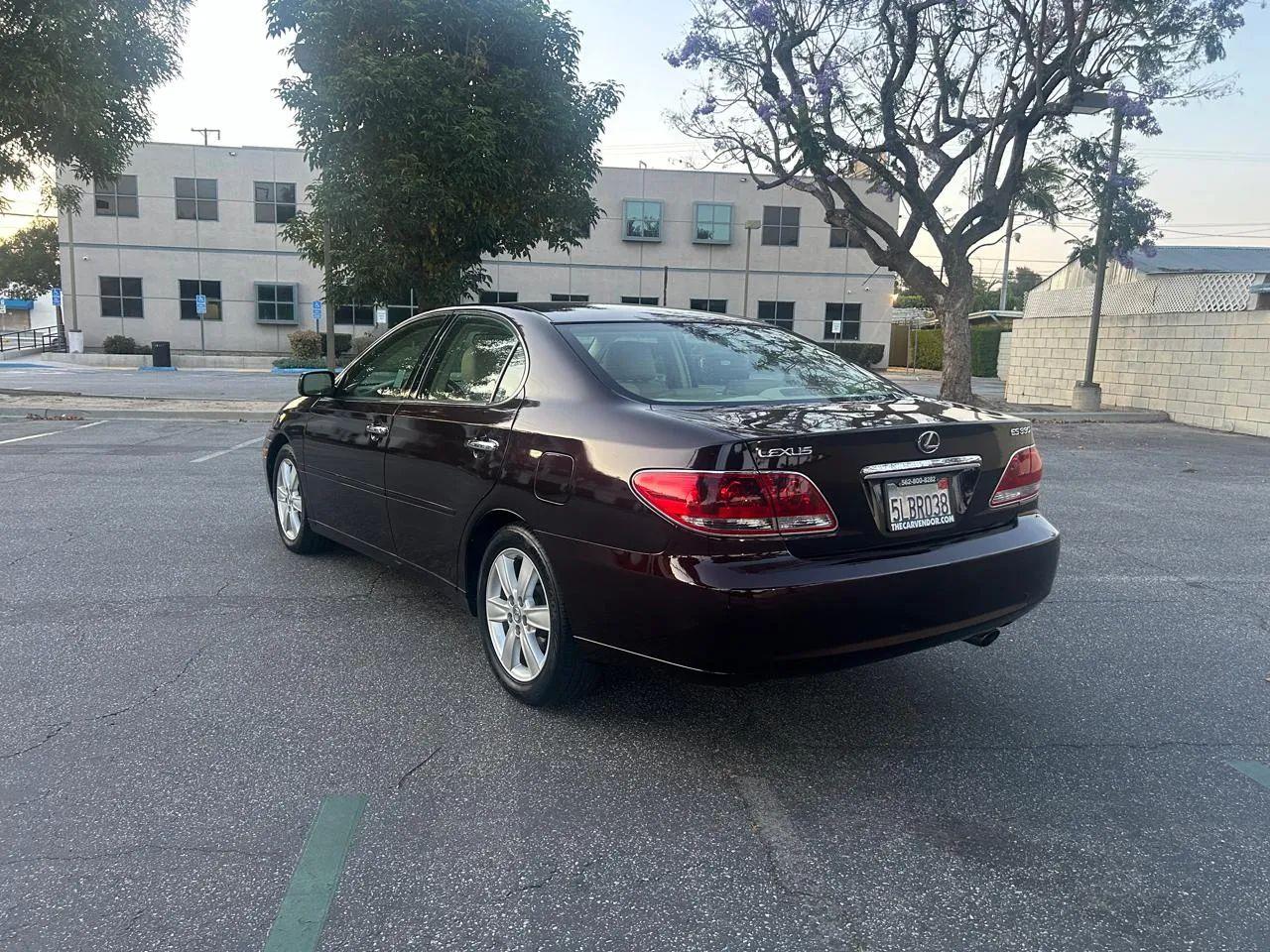 Lexus ES 330 Sedan 2005