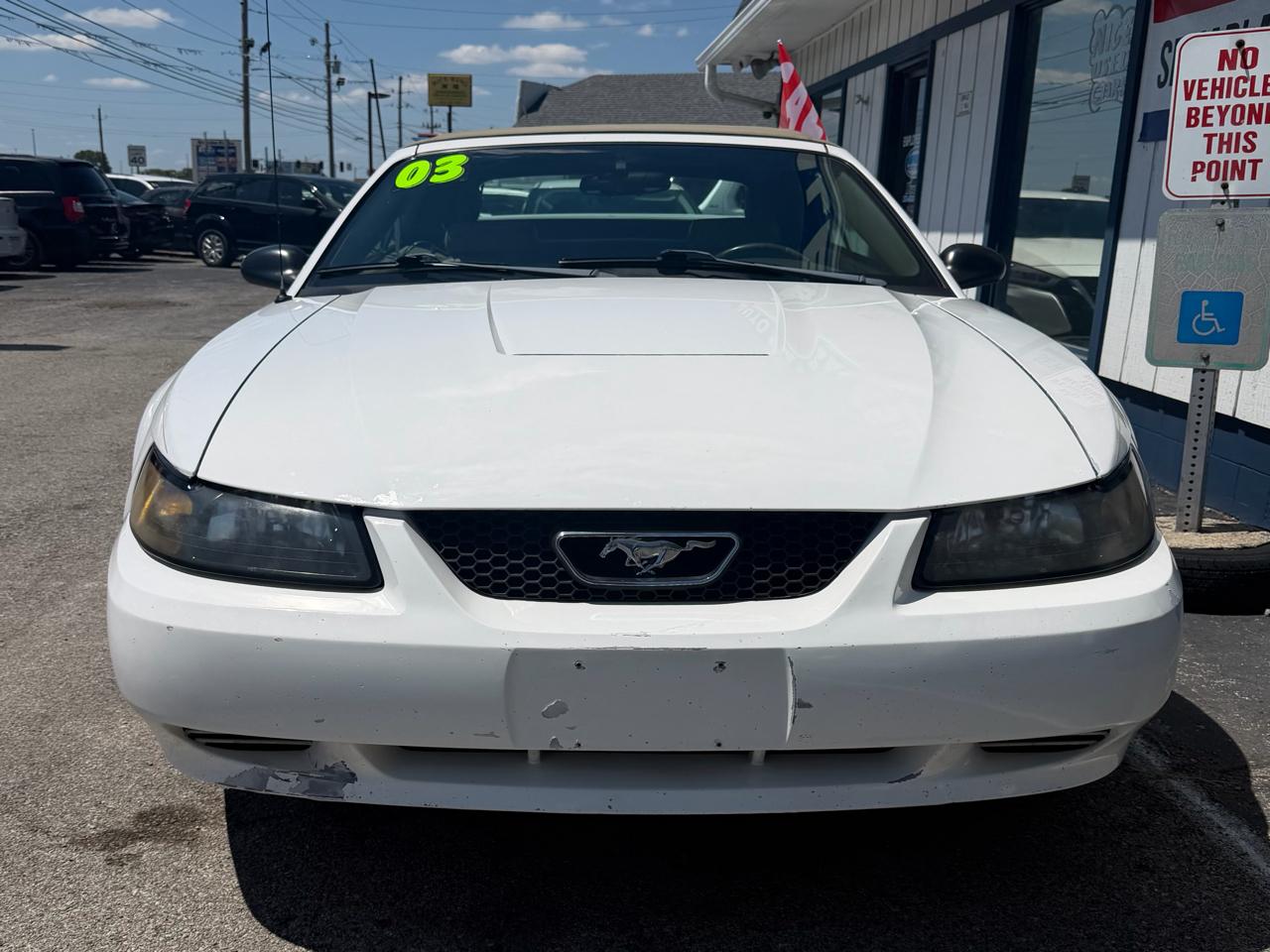 Ford Mustang Deluxe Convertible 2003