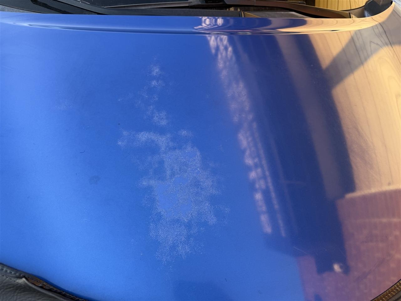 Toyota C-HR XLE 2018