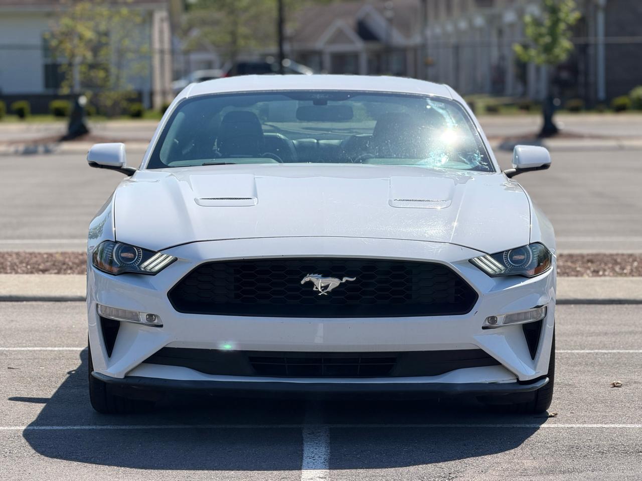 Ford Mustang EcoBoost Coupe 2019