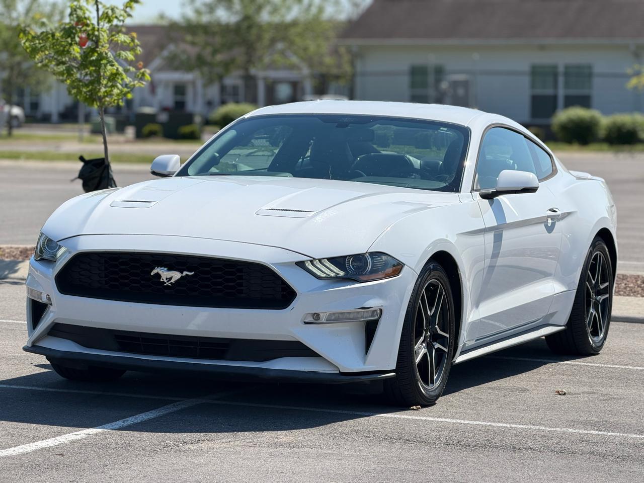 Ford Mustang EcoBoost Coupe 2019
