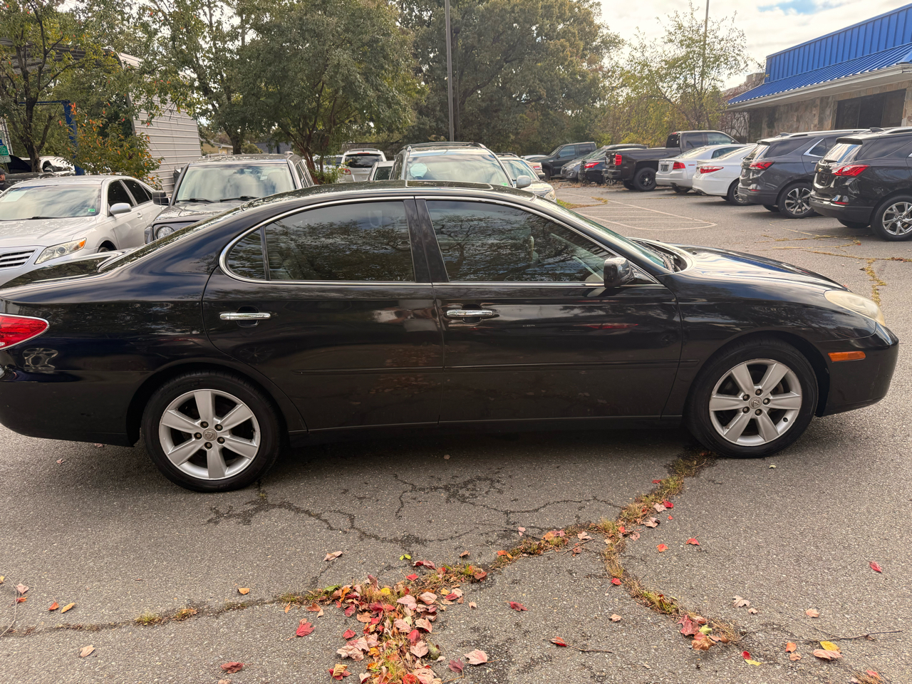 Lexus ES 330 Sedan 2005 Lexus ES 330 Sedan 2005