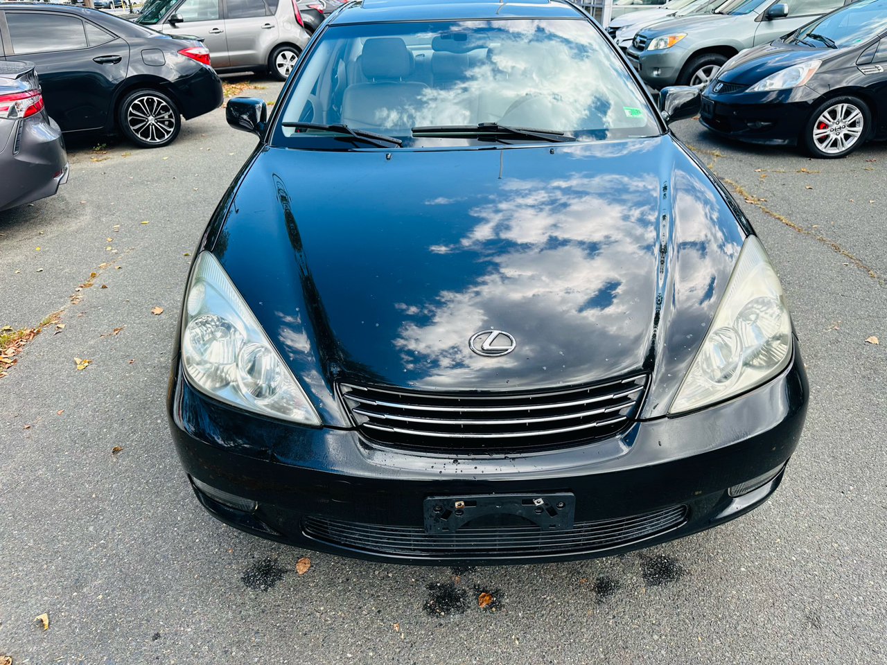 Lexus ES 330 Sedan 2004 Lexus ES 330 Sedan 2004