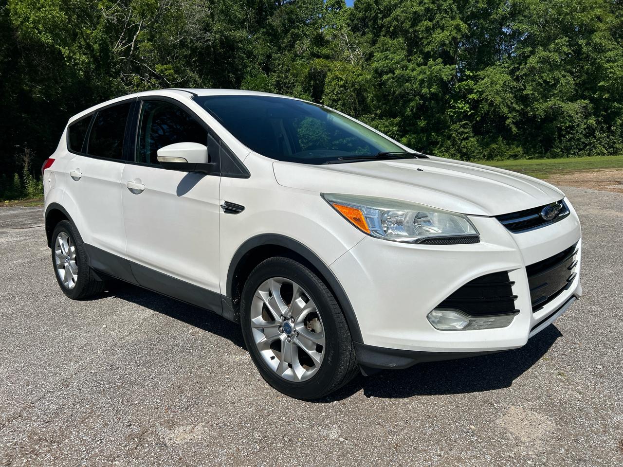 2013 Ford Escape SEL's photo