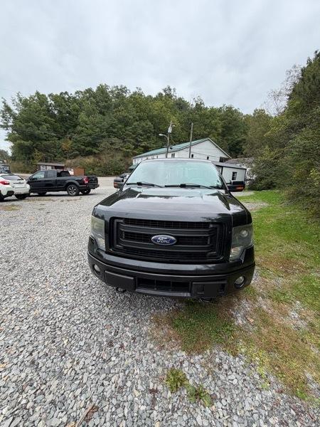 Ford F-150 4WD SuperCrew 145" FX4 2014