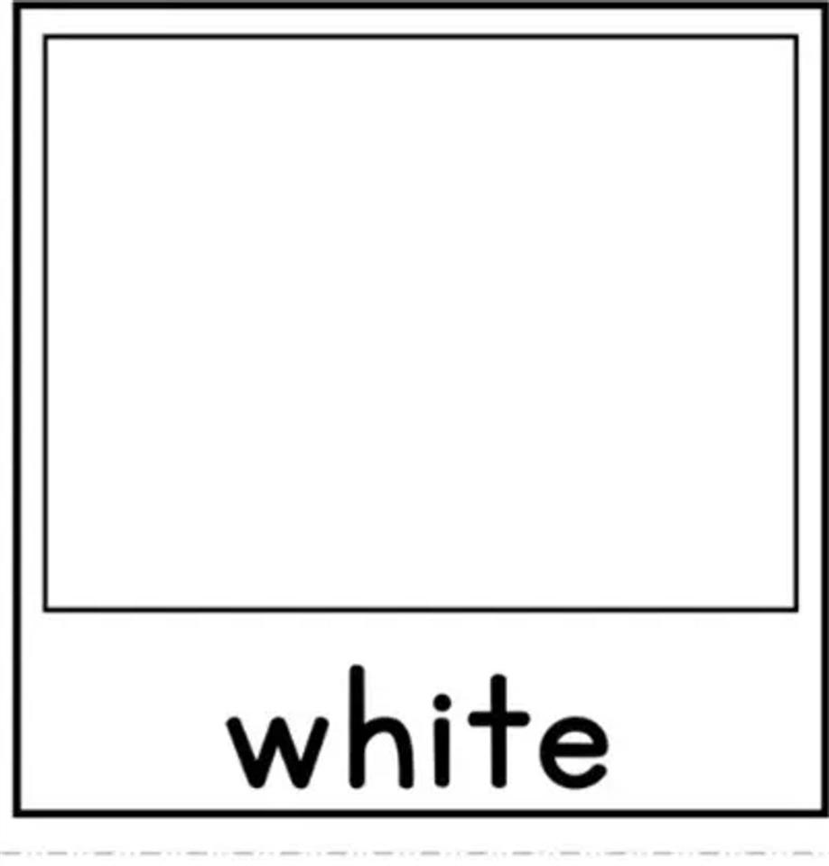 2009 Honda CR-V EX-L 4WD 5-Speed AT