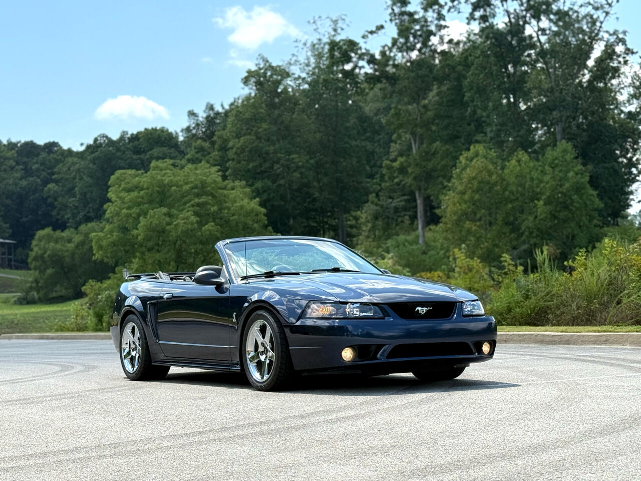 2001 Ford Mustang Cobra Convertible
